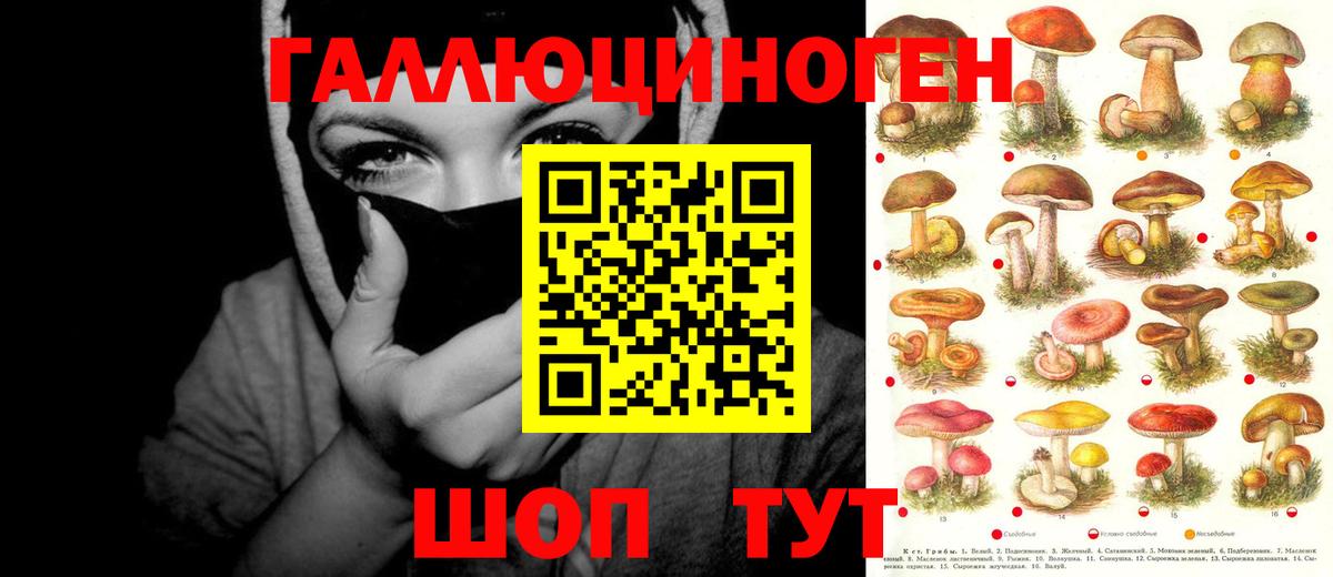 Галлюциногенные грибы Psilocybe Вольск